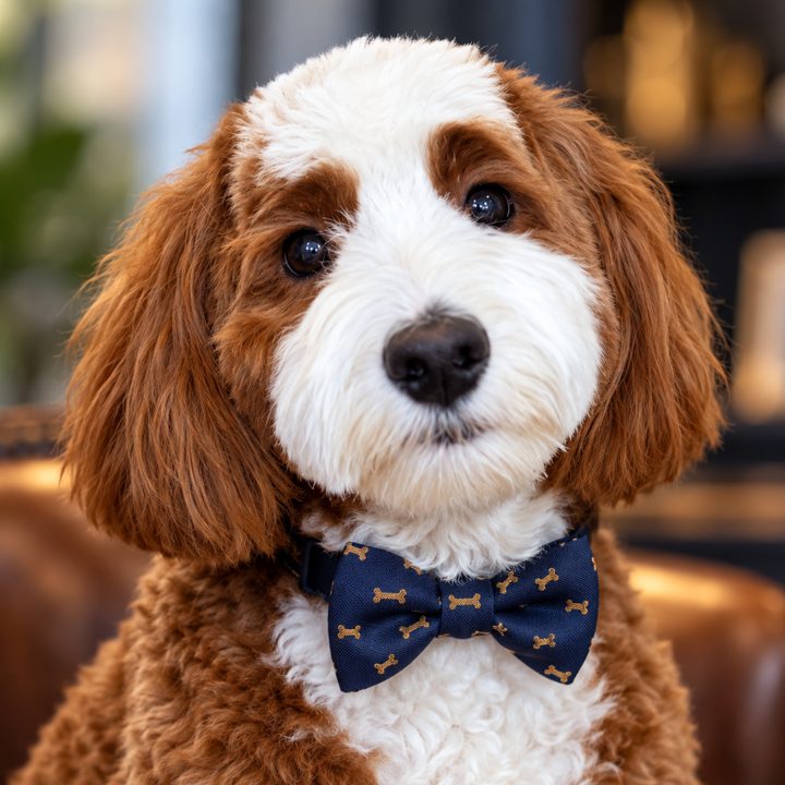 Maverick, Chief Security Officer at Goliath Sales Strategies, in a navy bow tie